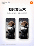 统一张图片机生成分歧结果 